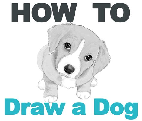 Search Results for “2022” – Page 2 – How to Draw Step by Step Drawing Tutorials