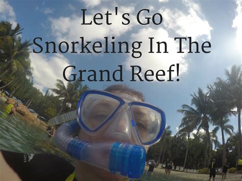 Discovery Cove Resort- Snorkeling In The Grand Reef (An Underwater Video)