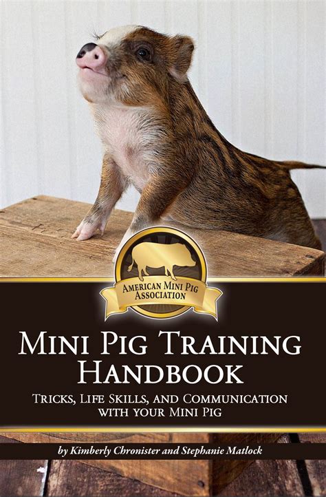 Mini Pig Training Handbook | American Mini Pig Online Store