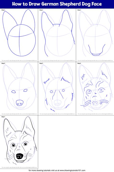 How to Draw German Shepherd Dog Face (Farm Animals) Step by Step | DrawingTutorials101.com