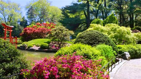 Brooklyn Botanic Garden - Botanic Garden in New York City - Thousand Wonders