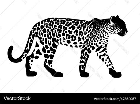 Jaguar silhouette isolated on white background Vector Image