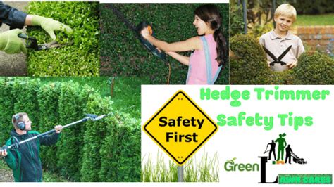 Hedge Trimmer Safety Tips - Green Lawn Cares