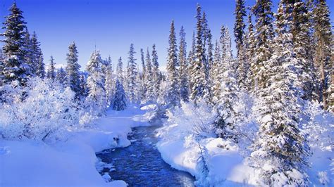 Steamy river by the snowy forest wallpaper - Nature wallpapers - #52669