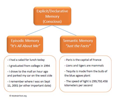 Episodic and Semantic Memory Examples - MemoryHealthCheck