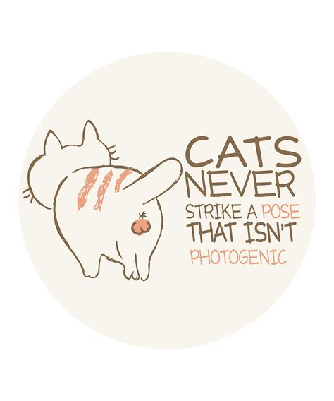 Funny Cat Pictures With Funny Quotes