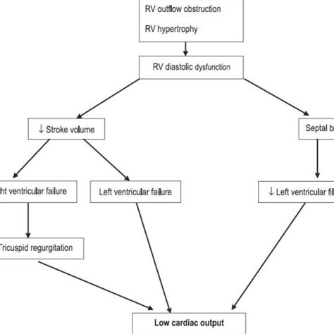 Effect of afterload reduction. Afterload reduction is of greater... | Download Scientific Diagram