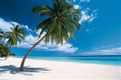 Free Caribbean Beach Wallpapers - Wallpaper Cave