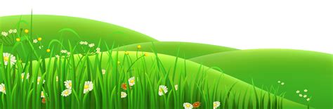 Meadow Euclidean vector Clip art - Transparent Flowers and Grass PNG Clipart png download - 6000 ...