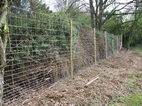 Deer Fencing - Richard Stubbs Fencing Services