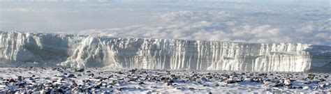 Kilimanjaro Climate Zones | Barking Zebra Tours