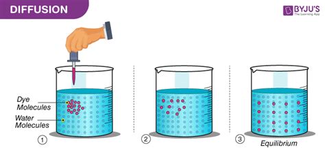 What Is Diffusion? - Definition, Types & Examples Of Diffusion