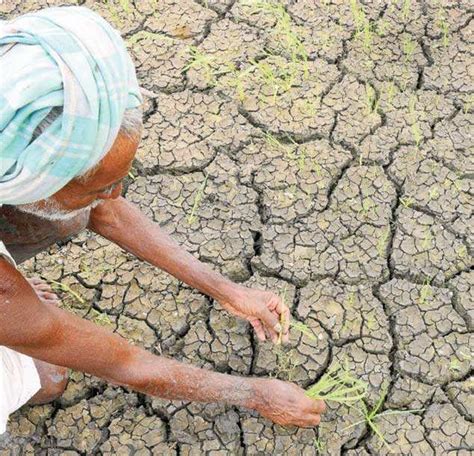 India faces a significant drought, US agency says | India News - Times of India