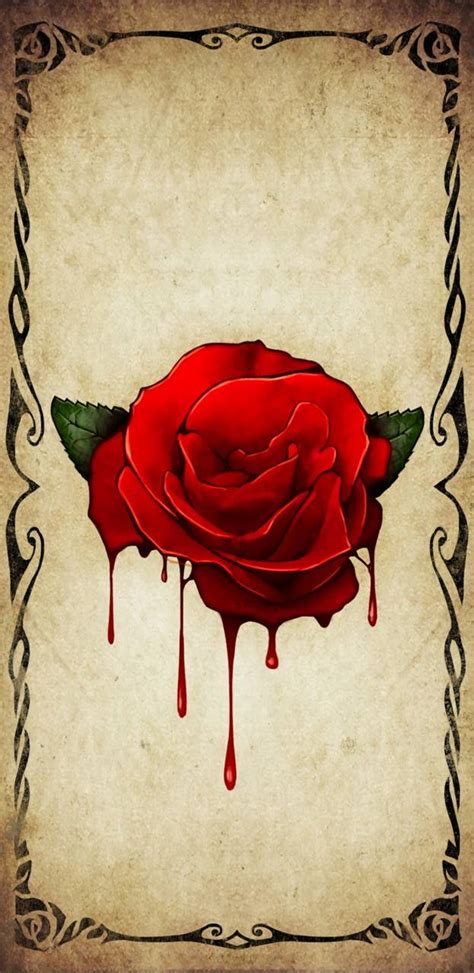 Blood Rose Wallpapers - Top Free Blood Rose Backgrounds - WallpaperAccess