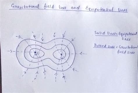 [Solved] Draw the gravitational field lines and equipotential lines produced... | Course Hero