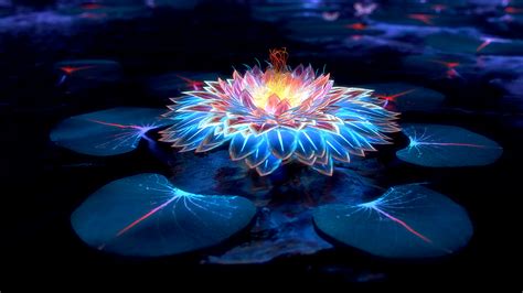 Lotus Flower Images Full Hd Wallpaper | Best Flower Site