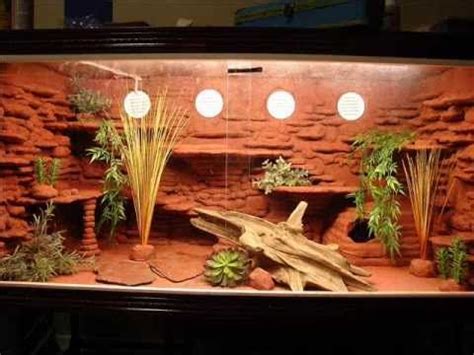 Bearded Dragon Cage Setup Guide - Reptile Care - All Pet Care