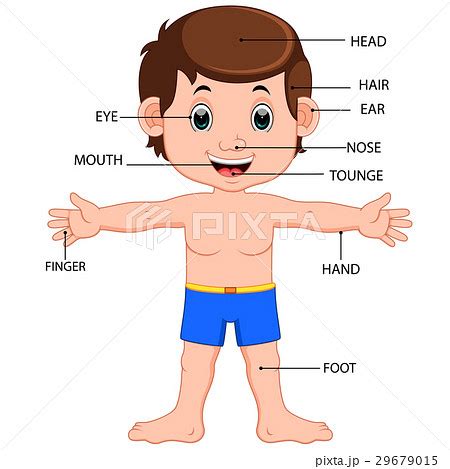 Human Body Parts Poster For Kids