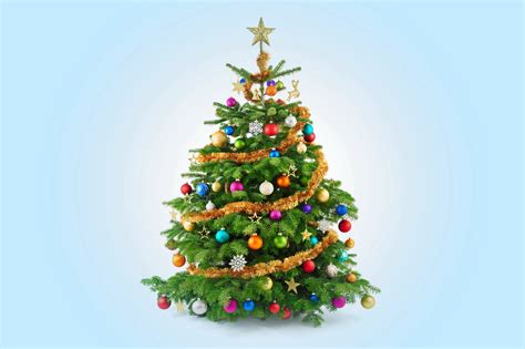 Christmas Tree Wallpapers Hd