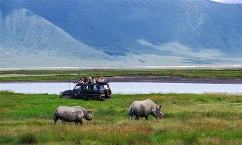 3 Days Ngorongoro Crater Safari | Tanzania Wildlife Safari