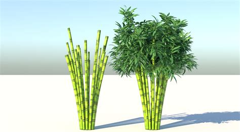 Bamboo 3D Model - TurboSquid 1717308