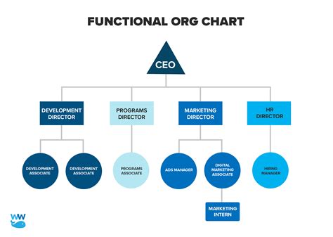 Nonprofit Org Chart: How to Set Up a Simple Organization Chart for Your Nonprofit - Whole Whale