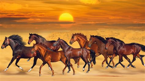 Seven Horses Are Running On Sea Sand During Sunset HD Beautiful Wallpapers | HD Wallpapers | ID ...