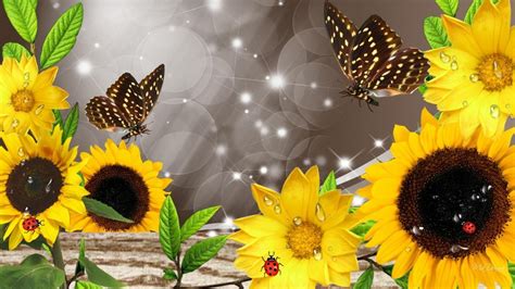 3D Sunflower Wallpapers - WallpaperSafari