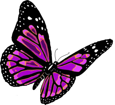 Butterfly | Butterfly clip art, Purple butterfly, Butterfly