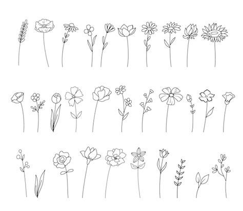 Premium Vector | Wildflowers and flowers thin line collection hand drawing set of isolated ...