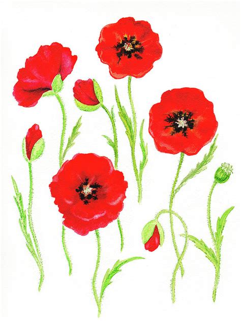 Watercolor Red Poppies Flowers Poppy Art Painting by Irina Sztukowski - Fine Art America