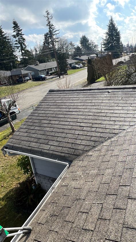 5 Essential Tips for Better Gutter and Roof Cleaning - Clean425