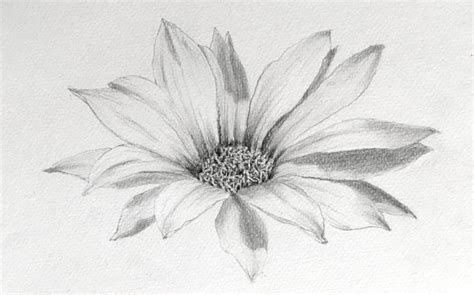 Flower Of Life Drawing Tutorial | Best Flower Site