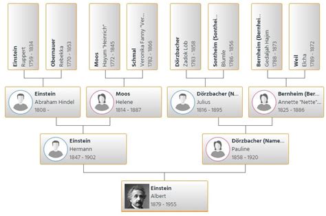 Albert Einstein Family Tree