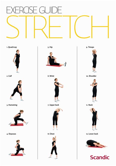 Printable Exercises For Seniors