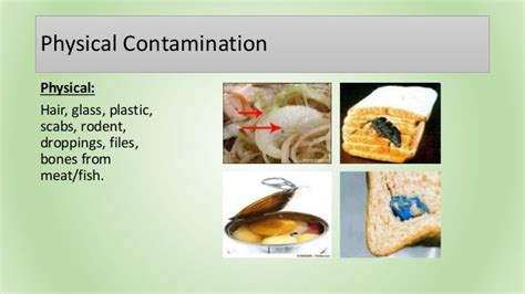 4 Types Of Contamination Hazards / Enviormental pollution / The metabolic versatility of fungi ...