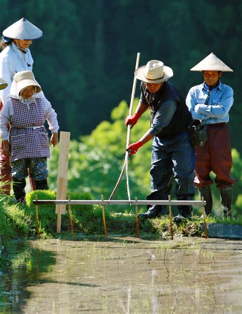 [Hidden Wonders of Japan] Preserving Maruyama's Thousand Rice Paddies | JAPAN Forward