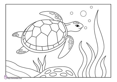 Gambar Mewarnai Hewan ~ Semesta Ibu ~ Free Download | Coloring pages, Flora and fauna drawing ...