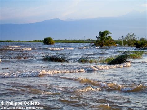 Bujumbura, Lake Tanganyika, Burundi