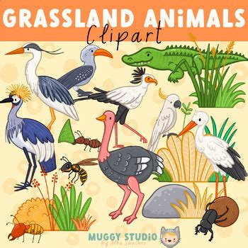 Grassland Animals Clipart Growing Bundle by Muggy Studio | TPT