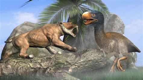 Titanis Walleri vs Smilodon by 3DSud on DeviantArt