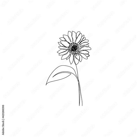 Continuous one line drawing of sunflower. Minimalist art. Vector illustration. Stock Vector ...