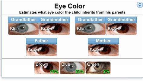 Eye Color Chart Genetics