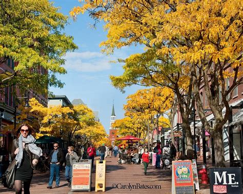 THE 15 BEST Things to Do in Burlington (2024) - Must-See Attractions