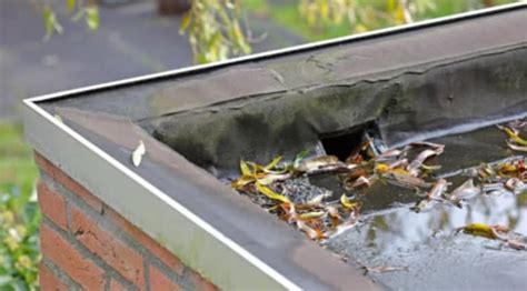 Flat Roof Drainage Systems - My Trusted Expert