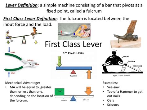 Second Class Lever Examples