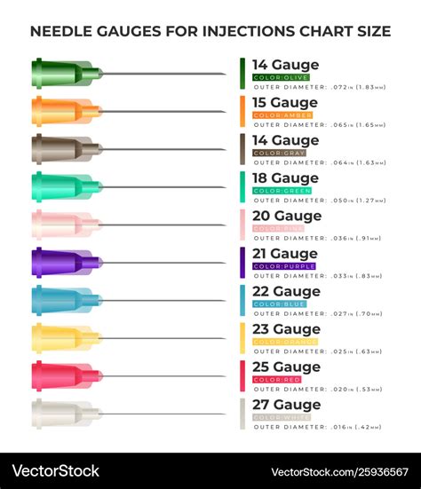 Needle gauges for injections chart size Royalty Free Vector