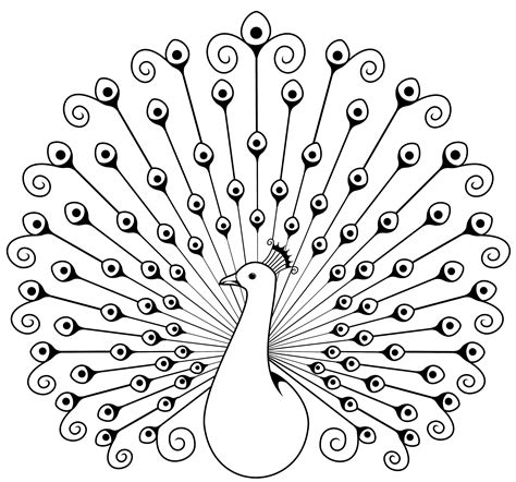 Peacock Drawing Simple at GetDrawings | Free download