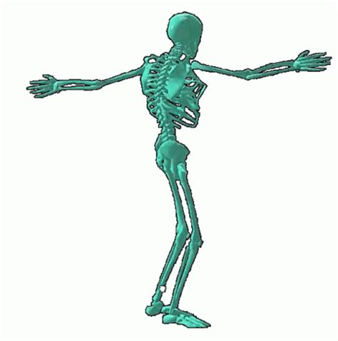 Skeleton Dance Sticker - Skeleton Dance Moves - Discover & Share GIFs