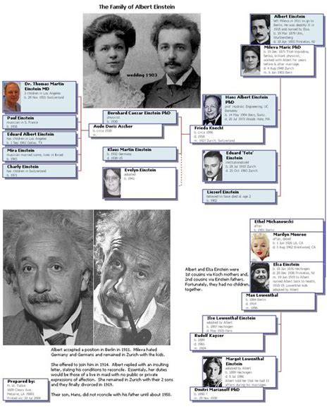 Albert Einstein Family Information - Image to u